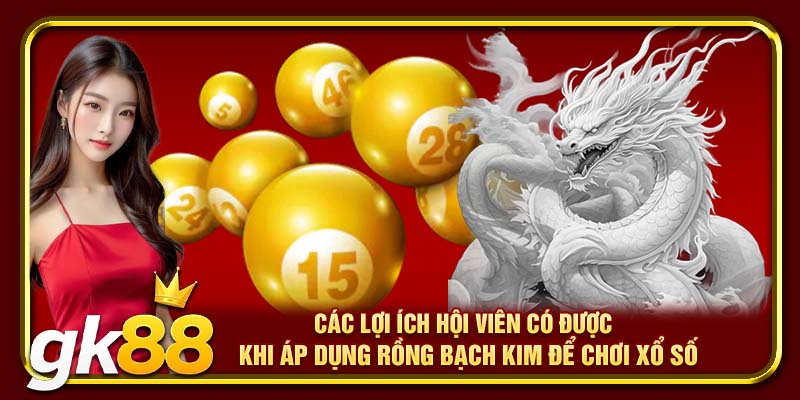 Rồng Bạch Kim GK88 | Công Cụ Soi Cầu Đẳng Cấp Tại GK88 3 Các lợi ích hội viên có được khi áp dụng rồng bạch kim để chơi xổ số