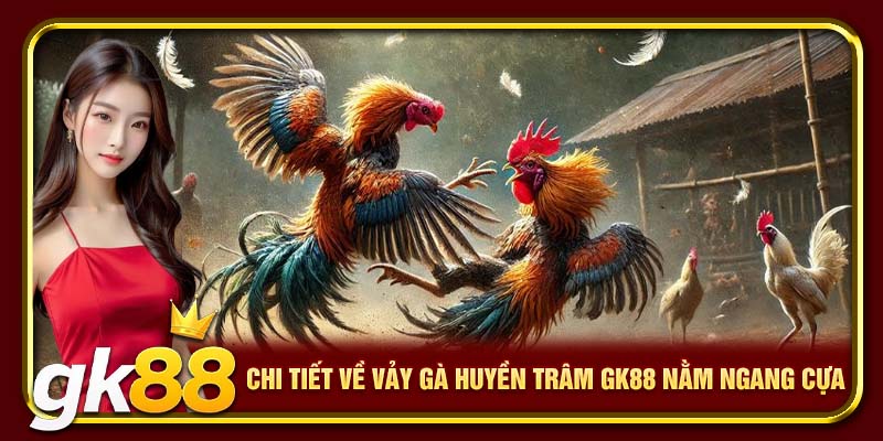 Vảy Gà Huyền Trâm GK88 | Giống Chiến Kê Có Vảy Quý Hiếm 4 Chi tiết về vảy gà huyền trâm nằm ngang cựa