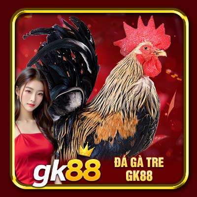 Đá Gà Tre GK88 | Tiết Lộ Cách Chọn Gà Chiến Giúp Sư Kê Thắng Đậm 1 Đá Gà Tre GK88 | Tiết Lộ Cách Chọn Gà Chiến Giúp Sư Kê Thắng Đậm