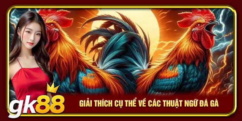 Thuật Ngữ Đá Gà GK88 | Từ Sư Kê Nên Nắm Nếu Muốn Thắng 2 Giải thích cụ thể về các thuật ngữ đá gà