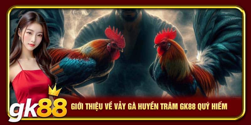 Vảy Gà Huyền Trâm GK88 | Giống Chiến Kê Có Vảy Quý Hiếm 2 Giới thiệu về vảy gà huyền trâm GK88 quý hiếm