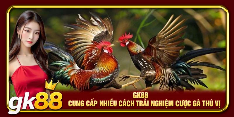 Đá Gà GK88 | Trải Nghiệm Hồi Hộp Từ Các Màn Đấu Đỉnh Cao 3 GK88 cung cấp nhiều cách trải nghiệm cược gà thú vị