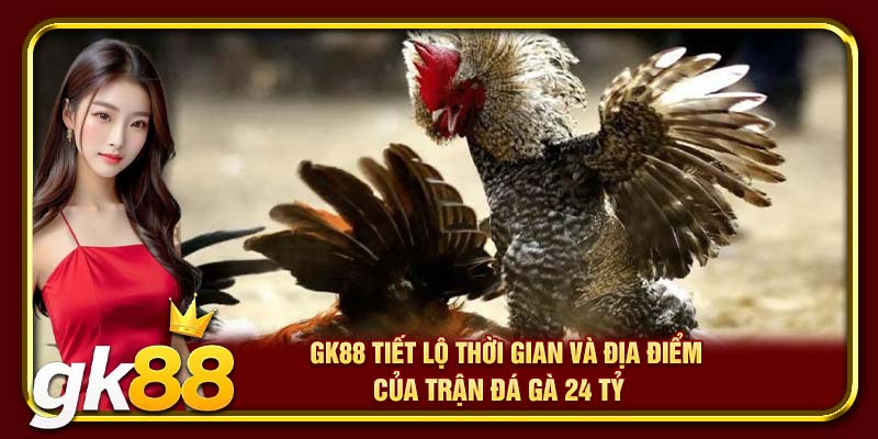 Trận Gà 24 Tỷ | Cuộc Đối Đầu Kinh Điển Vang Danh Sới Gà 3 GK88 tiết lộ thời gian và địa điểm của trận đá gà 24 tỷ