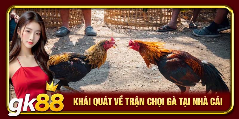 Trận Gà 24 Tỷ | Cuộc Đối Đầu Kinh Điển Vang Danh Sới Gà 2 Khái quát về trận chọi gà tại nhà cái