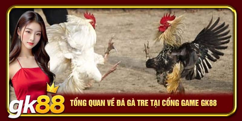 Đá Gà Tre GK88 | Tiết Lộ Cách Chọn Gà Chiến Giúp Sư Kê Thắng Đậm 2 Tổng quan về đá gà tre tại cổng game GK88