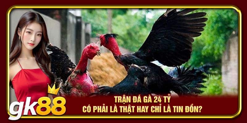 Trận Gà 24 Tỷ | Cuộc Đối Đầu Kinh Điển Vang Danh Sới Gà 4 Trận đá gà 24 tỷ có phải là thật hay chỉ là tin đồn?