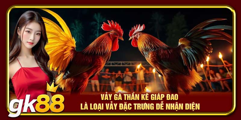Vảy Gà Thần Kê GK88 | Tìm Hiểu Chi Tiết Về Giống Vảy Quý Hiếm 3 Vảy gà thần kê Giáp Đao là loại vảy đặc trưng dễ nhận diện