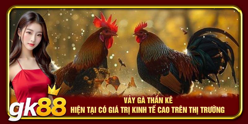 Vảy Gà Thần Kê GK88 | Tìm Hiểu Chi Tiết Về Giống Vảy Quý Hiếm 4 Vảy gà thần kê hiện tại có giá trị kinh tế cao trên thị trường